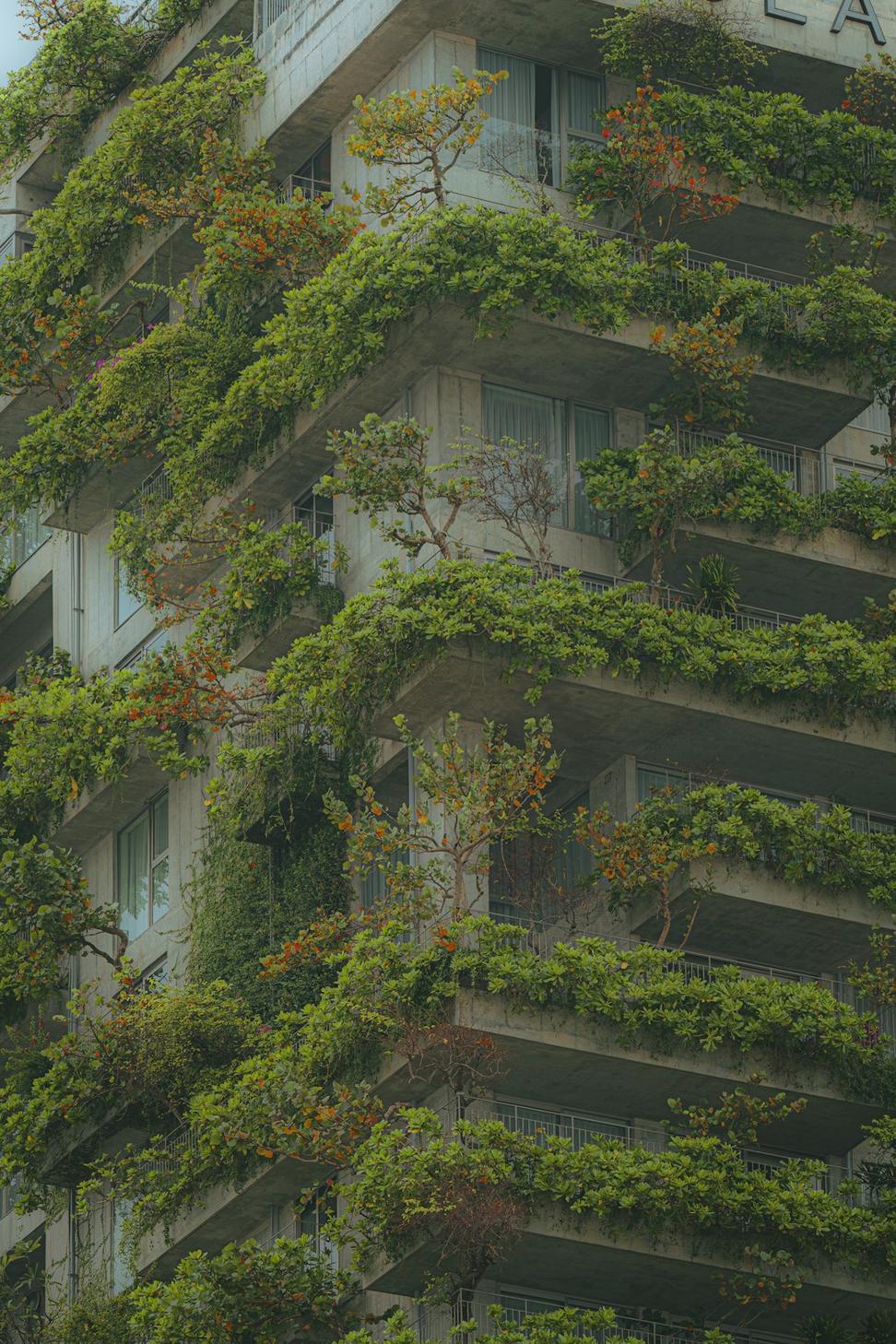 EcoLiving Passive House